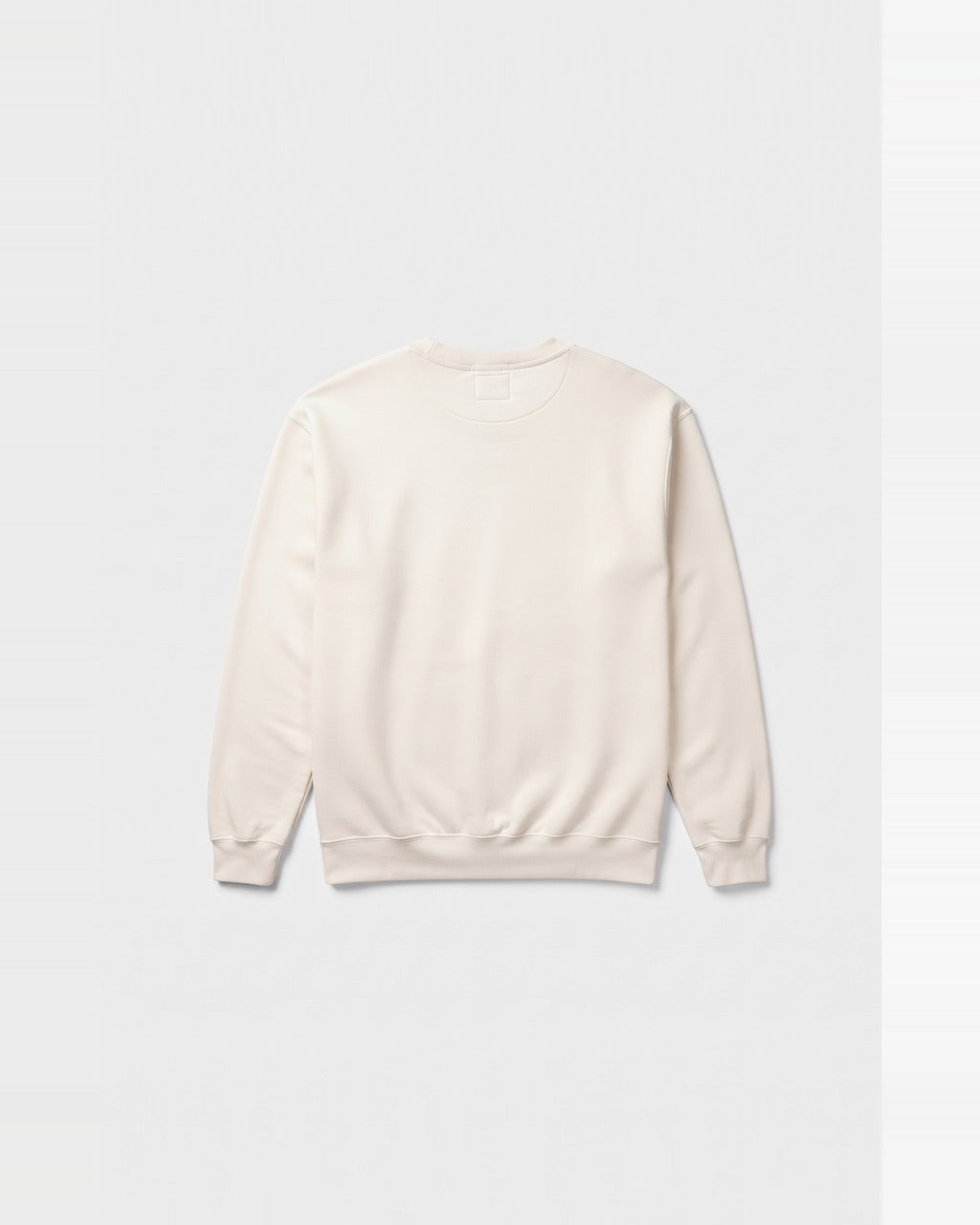 Spyglass Sweatshirt in Sail Canvas — back